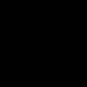 Meet your Posher, Everett